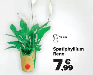 Oferta de Spatiphyllium Reno por 7,99€ en Carrefour