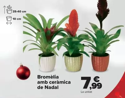 Oferta de Bromelia Con Ceramica Navidad por 7,99€ en Carrefour