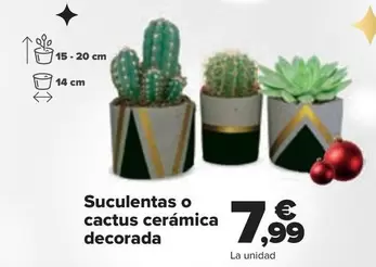 Oferta de Suculentas O Cactus Cerámica Decorada por 7,99€ en Carrefour