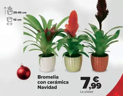 Oferta de Bromelia Con Ceramica Navidad por 7,99€ en Carrefour