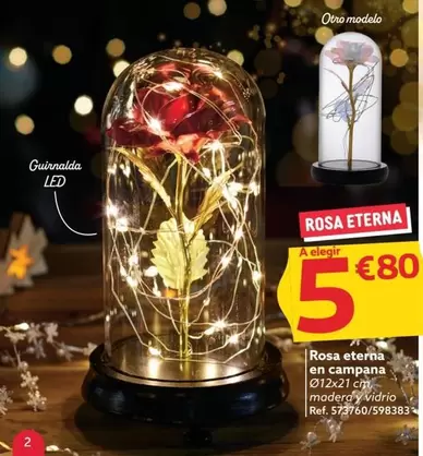 Oferta de Rosa Eterna En Campana por 5,8€ en GiFi