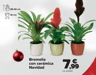 Oferta de Bromelia Con Ceramica Navidad por 7,99€ en Carrefour