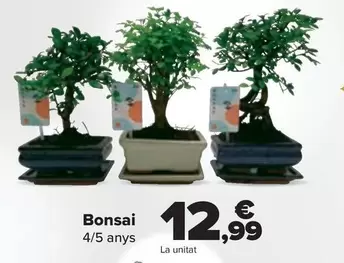 Oferta de Bonsai por 12,99€ en Carrefour