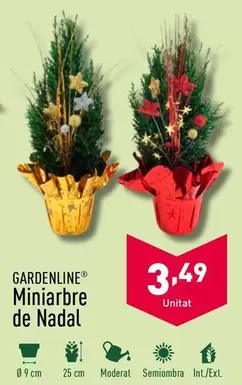 Oferta de Gardenline - Miniarbre De Nadal por 3,49€ en ALDI