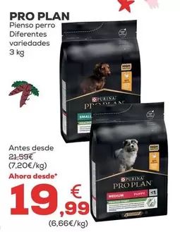 Oferta de Pro Plan - Pienso Perro Diferentes Variedades por 19,99€ en Kiwoko