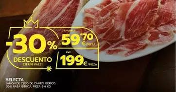 Oferta de Selecta - Jamon De Cebo De Campo Iberico 50% Raza Iberica por 199€ en BM Supermercados