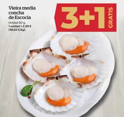 Oferta de Vieira Media Concha De Escocia por 2,99€ en La Sirena