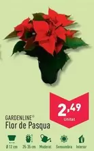 Oferta de Gardenline - Flor De Pasqua por 2,49€ en ALDI