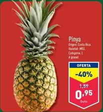 Oferta de Pinya por 0,95€ en ALDI