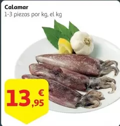 Oferta de Calamar por 13,95€ en Alcampo