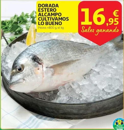 Oferta de Dorada - Dorada Estero Alcampo Cultivamos Lo Bueno por 16,95€ en Alcampo