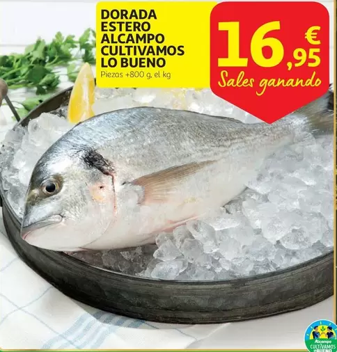 Oferta de Dorada - Dorada Estero Alcampo Cultivamos Lo Bueno por 16,95€ en Alcampo