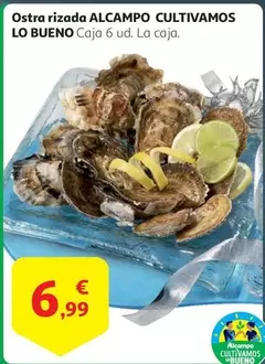 Oferta de Alcampo - Ostra Rizada por 6,99€ en Alcampo