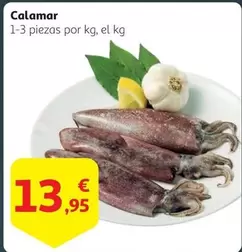 Oferta de Calamar por 13,95€ en Alcampo