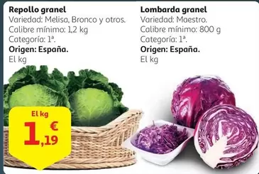 Oferta de Repollo Granel por 1,19€ en Alcampo