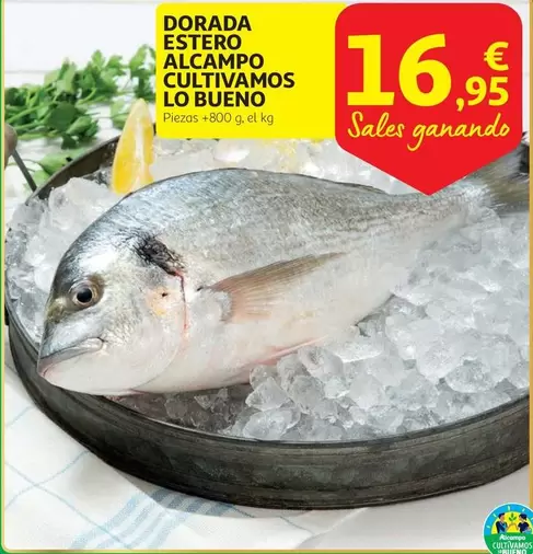 Oferta de Dorada - Dorada Estero Alcampo Cultivamos Lo Bueno por 16,95€ en Alcampo