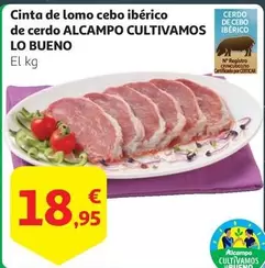 Oferta de Alcampo - Cinta De Lomo Cebo Iberico De Cerdo por 18,95€ en Alcampo