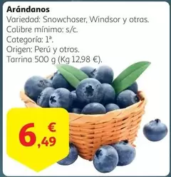 Oferta de Origen - Arándanos por 6,49€ en Alcampo