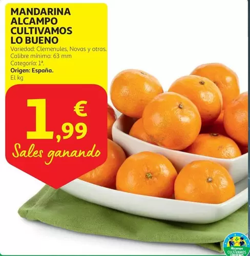 Oferta de Alcampo - Mandarina Alcampo Cultivamos Lo Bueno por 1,99€ en Alcampo