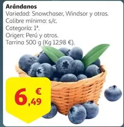 Oferta de Origen - Arándanos por 6,49€ en Alcampo