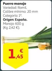 Oferta de Origen - Puerro Manojo por 1,45€ en Alcampo