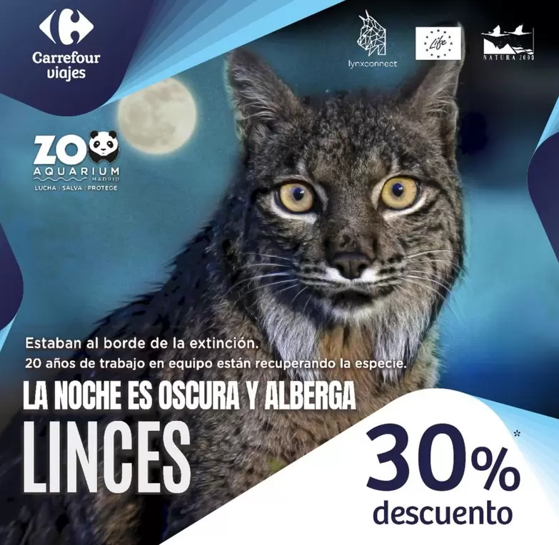 Oferta de Carrefour - Noche Es Oscura Y Alberga en Carrefour Viajes