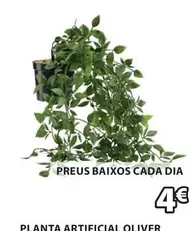 Oferta de Dia - Planta Artificial Oliver por 4€ en JYSK