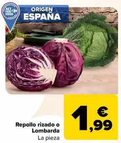 Oferta de Repollo Rizado O Lombarda por 1,99€ en Carrefour