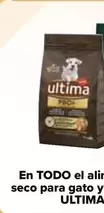 Oferta de Última - En Todo El Alimento Seco Para Gato Y Perro Pro+ en Carrefour