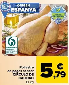 Oferta de Círculo De Calidad - Pollo Campero Entero   por 5,79€ en Carrefour