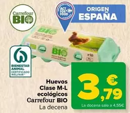 Oferta de  Carrefour Bio - Huevos  Clase M-L EcolOgicos  por 3,79€ en Carrefour