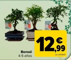 Oferta de Bonsai por 12,99€ en Carrefour