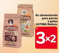 Oferta de Ultima - En Alimentacion Para Perros Y Gatos en Carrefour