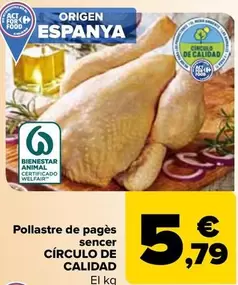 Oferta de Circulo De Calidad - Pollo Campero Entero por 5,79€ en Carrefour