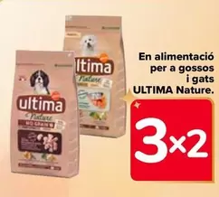 Oferta de Ultima - En Alimentacion Para Perros Y Gatos en Carrefour