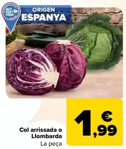 Oferta de Repollo Rizado O Lombarda por 1,99€ en Carrefour