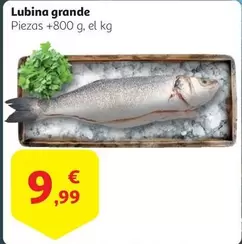 Oferta de Lubina Grande por 9,99€ en Alcampo