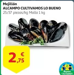 Oferta de Alcampo - Mejillon por 2,75€ en Alcampo