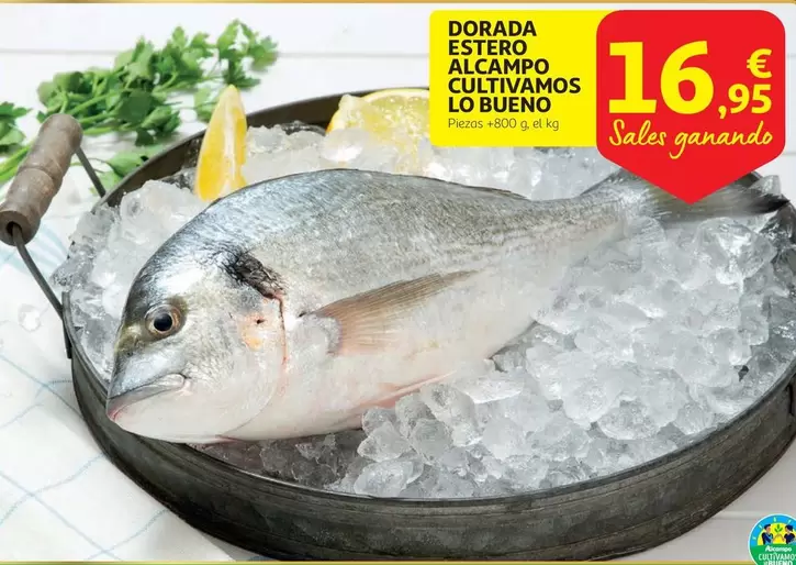 Oferta de Dorada - Dorada Estero Alcampo Cultivamos Lo Bueno por 16,95€ en Alcampo