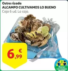 Oferta de Alcampo - Ostra Rizada por 6,99€ en Alcampo