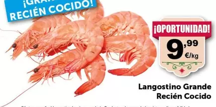 Oferta de Langostino Grande Recién Cocido por 9,99€ en Masymas