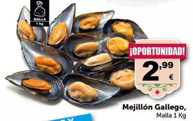 Oferta de Gallego - Mejillón por 2,99€ en Masymas