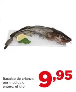 Oferta de Bacalao De Crianza, Por Medios O Entero por 9,95€ en Alimerka