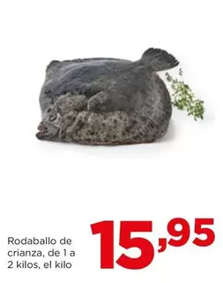 Oferta de Alimerka - Rodaballo De Crianza por 15,95€ en Alimerka