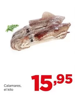 Oferta de Calamares por 15,95€ en Alimerka