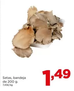 Oferta de Setas, Bandeja por 1,49€ en Alimerka