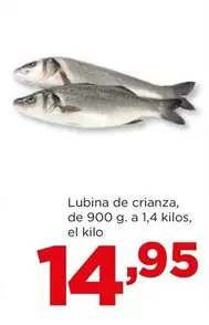 Oferta de Lubina De Crianza por 14,95€ en Alimerka