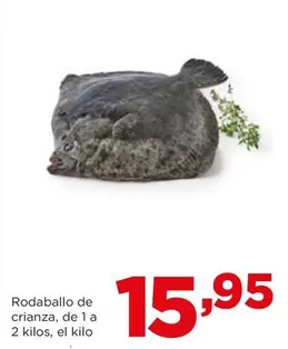 Oferta de Alimerka - Rodaballo De Crianza por 15,95€ en Alimerka