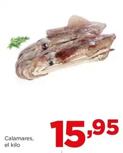 Oferta de Calamares por 15,95€ en Alimerka