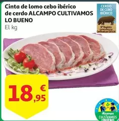 Oferta de Alcampo - Cinta De Lomo Cebo Iberico De Cerdo por 18,95€ en Alcampo